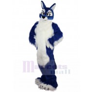 Longue Fourrure Loup bleu et blanc Costume de mascotte Animal