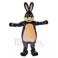 Délicieux Lapin Gris Foncé Costume de mascotte Animal