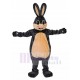 Delightful Dark Grey Rabbit Mascot Costume Animal