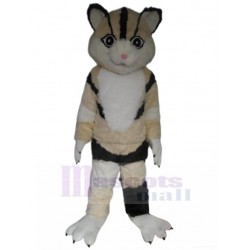 Smart Tricolor Tabby Cat Mascot Costume Animal