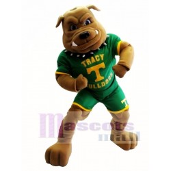 Bulldog in Green Jersey Mascot Costume Animal