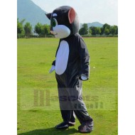 Grey and White Cat Mascot Costume with Pink Nose Animal