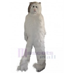 De pelo largo Gato persa blanco Traje de la mascota Animal
