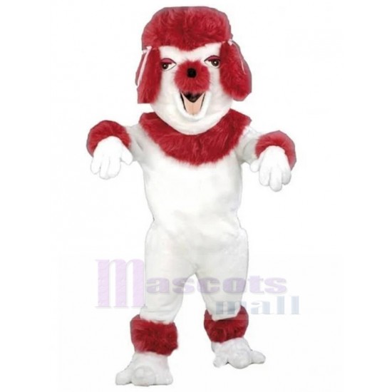 Accesible Rojo y blanco Perro caniche Traje de la mascota Animal