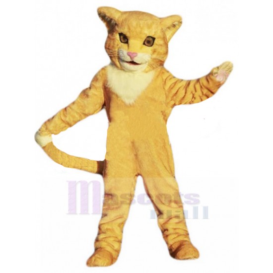Amarillo Gato atigrado Traje de la mascota Animal