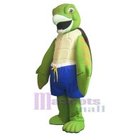 Turtle Adult Mascot Costume Animal