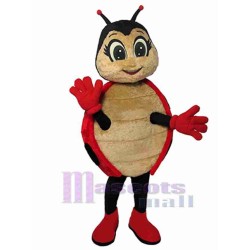  Hermoso Mariquita Disfraz de mascota Insecto