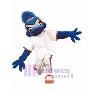 Sports Jay Bird Mascot Costume Animal