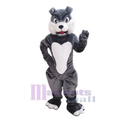 Bulldog gris Perro Disfraz de mascota Animal