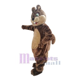 Beau Écureuil Mascotte Costume Animal