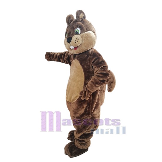 Beau Écureuil Mascotte Costume Animal