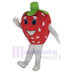 Rote Erdbeere Maskottchen-Kostüm Karikatur
