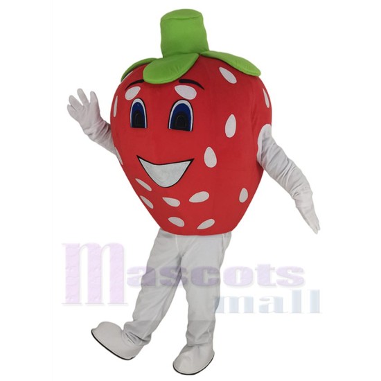 Red Strawberry Mascot Costume Cartoon