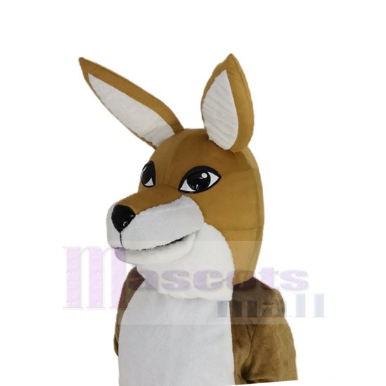 Freundliches braunes Känguru Maskottchen-Kostüm Tier