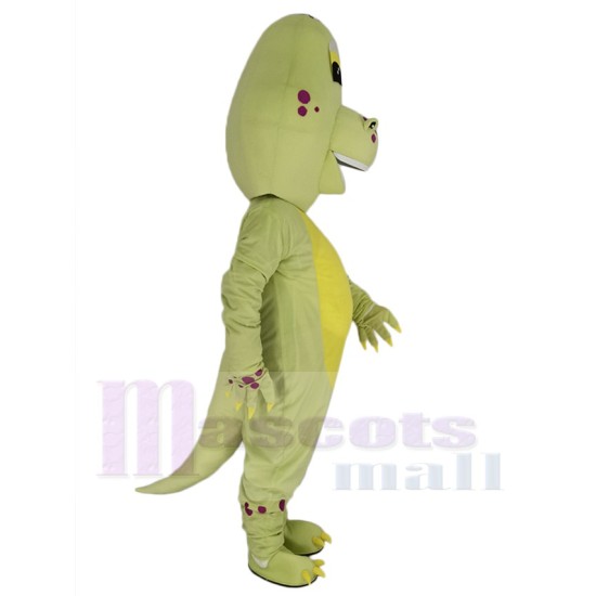 Dinosaure vert mignon Mascotte Costume Animal