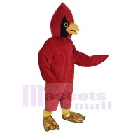 Pájaro cardenal rojo divertido Disfraz de mascota Animal
