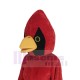 Lustiger roter Kardinalvogel Maskottchen-Kostüm Tier