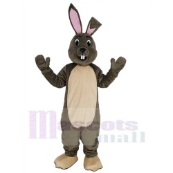 Joyeux lapin de Pâques gris Mascotte Costume Animal