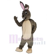 Glücklicher grauer Osterhase Kaninchen Maskottchen-Kostüm Tier