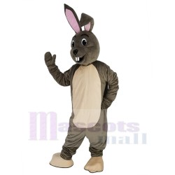 Joyeux lapin de Pâques gris Mascotte Costume Animal