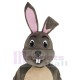 Glücklicher grauer Osterhase Kaninchen Maskottchen-Kostüm Tier