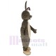 Feliz conejito de pascua gris Conejo Disfraz de mascota Animal