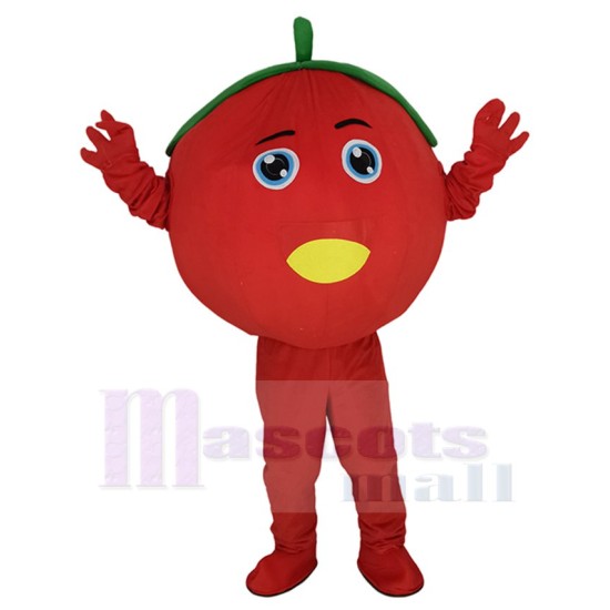 Süße Tomate Frucht Maskottchen-Kostüm Karikatur