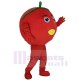 Süße Tomate Frucht Maskottchen-Kostüm Karikatur
