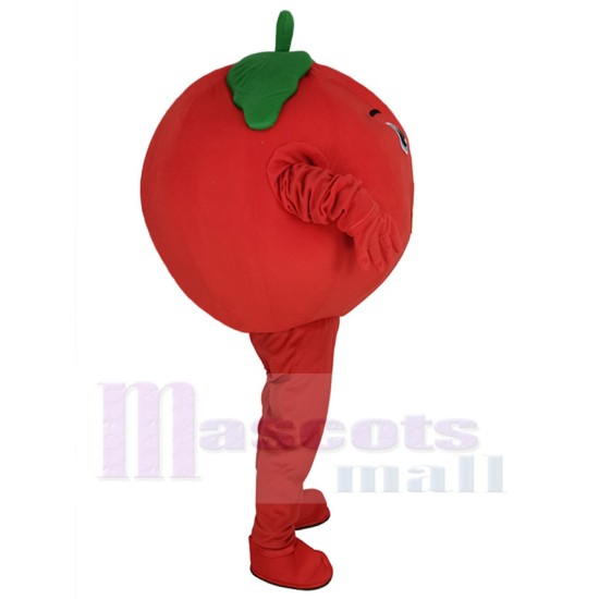 Cute Tomato Fruit Mascot Costume Cartoon