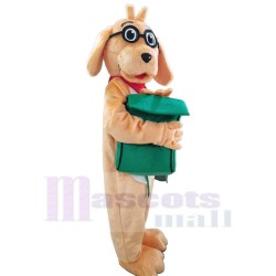 Perro Golden Retriever inteligente Disfraz de mascota Animal