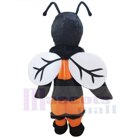 Frelon abeille noir et orange Mascotte Costume Insecte