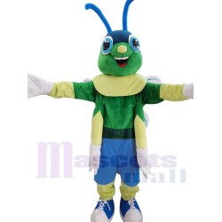 Linda luciérnaga verde Disfraz de mascota Insecto