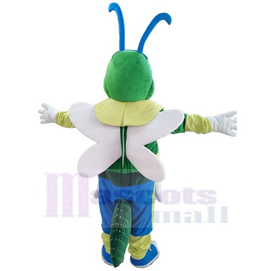 Netter grüner Leuchtkäfer Maskottchen-Kostüm Insekt