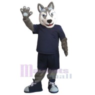 Starker Husky-Hund Maskottchen-Kostüm Tier