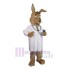 Médecin Lapin Mascotte Costume Animal
