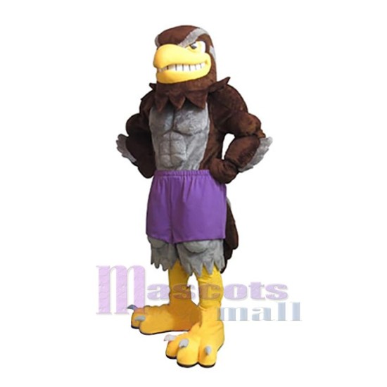 Brown Falcon Mascot Costume Animal