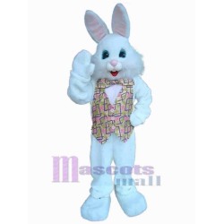 Joli lapin Mascotte Costume Animal