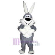 Glückliches Kaninchen Maskottchen-Kostüm Tier