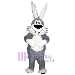 Glückliches Kaninchen Maskottchen-Kostüm Tier