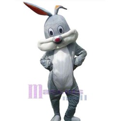 Likable Bunny Rabbit Mascot Costume Animal