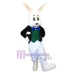 Kaninchen Junge Maskottchen Kostüm Tier