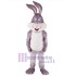 Conejo gris feliz Disfraz de mascota Animal