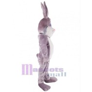 Conejo gris feliz Disfraz de mascota Animal