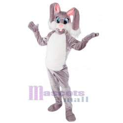 Aufgeregtes Kaninchen Maskottchen-Kostüm Tier