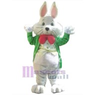 Conejo obediente Disfraz de mascota Animal