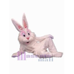 Leisure Rabbit Mascot Costume Animal
