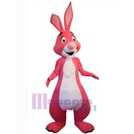 Conejo rosa Disfraz de mascota Animal