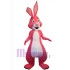 Conejo rosa Disfraz de mascota Animal