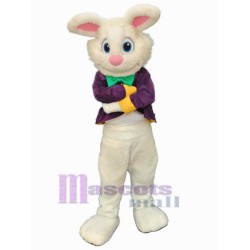 Garçon de lapin de Pâques Mascotte Costume Animal