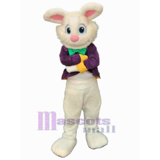 Easter Bunny Boy Mascot Costume Animal